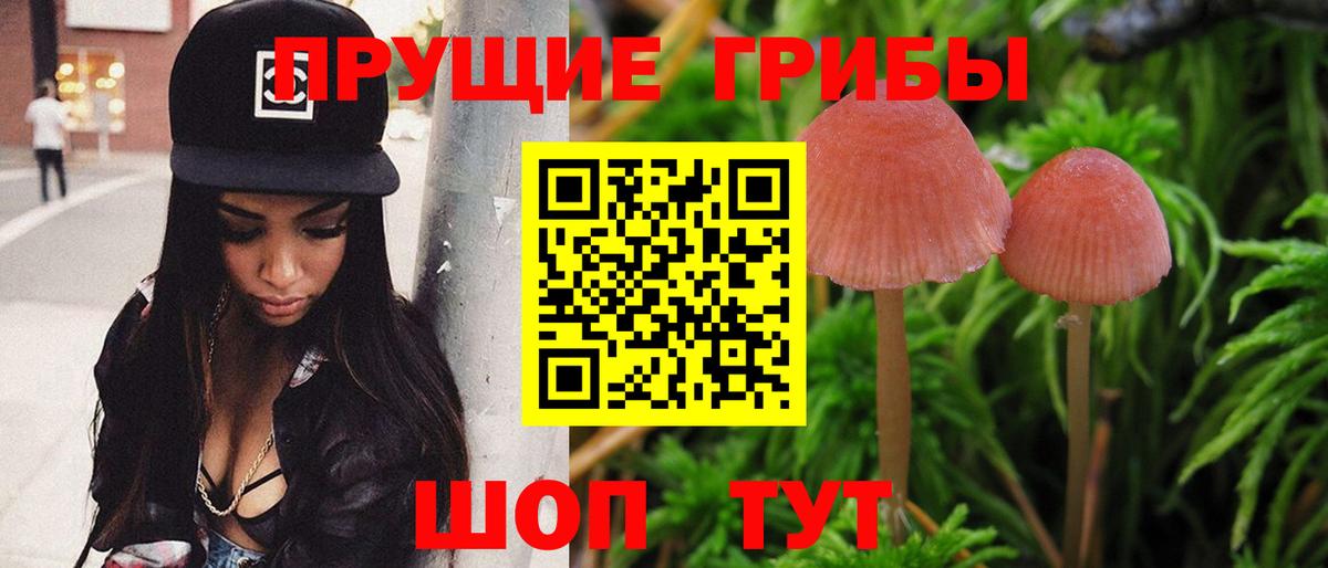 Псилоцибиновые грибы мицелий  Вход с VPN  Владивосток 